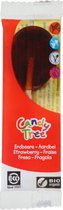 Candy Tree Aardbei lollie bio (1st)