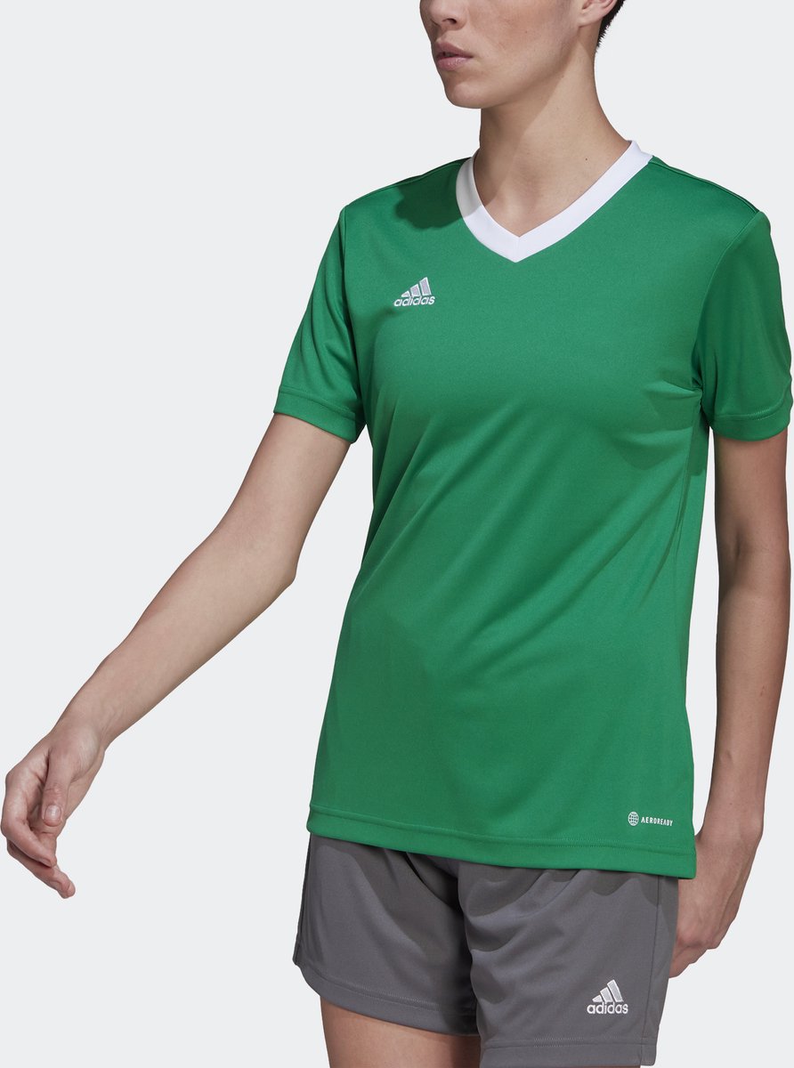 adidas Performance Entrada 22 Voetbalshirt - Dames - Groen - M