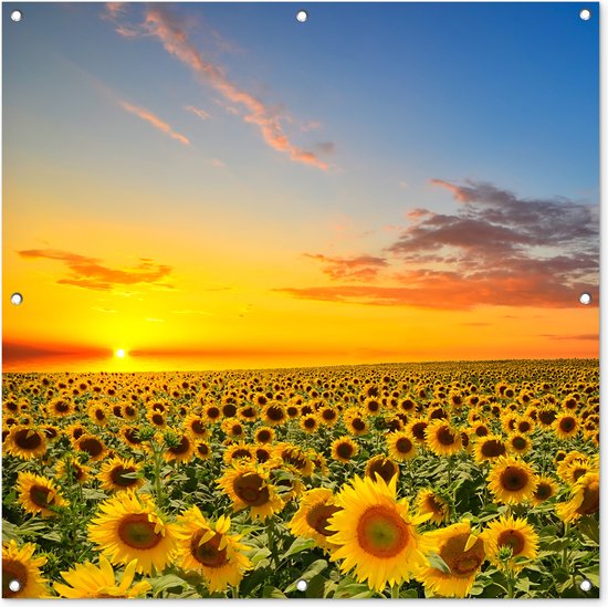 Tissu de jardin Fleurs - Tournesol - Coucher de soleil - Nuit - Oranje - 100x100 cm