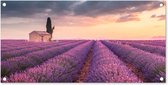 Tuinposter Lavendel - Bloemen - Paars - Veld - 80x40 cm - Wanddecoratie Buiten - Tuinposter - Tuindoek - Schuttingposter - Tuinschilderij