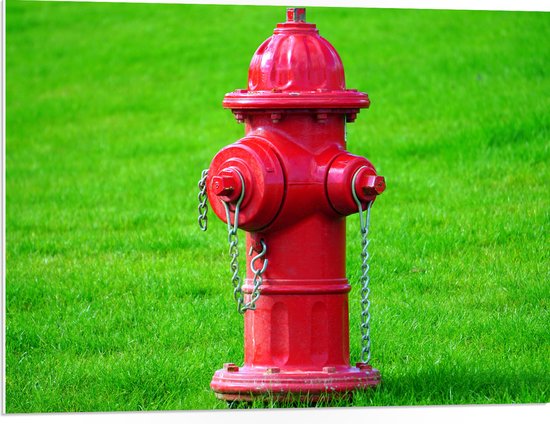 PVC Schuimplaat- Rode Brandweerpaal in Groen Gras - 80x60 cm Foto op PVC Schuimplaat
