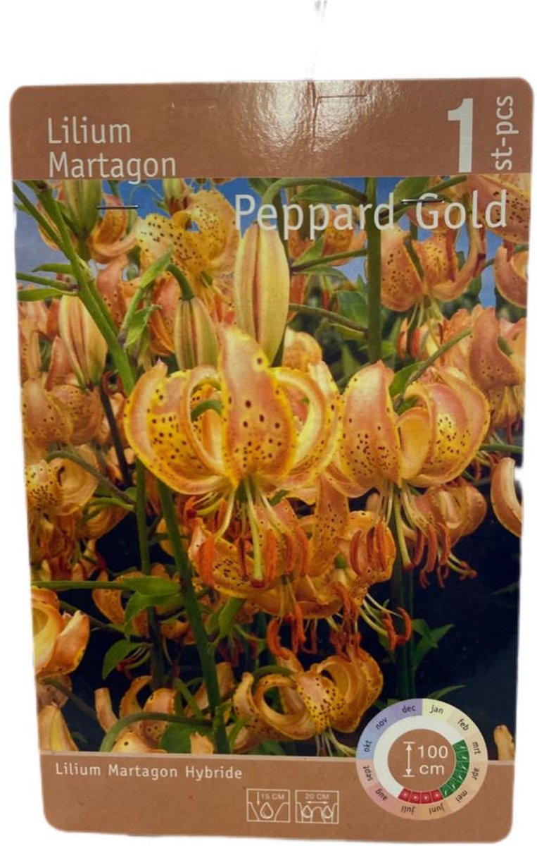 Lelies - bloembollen - Lilium Martagon Peppard Gold - | bol.com