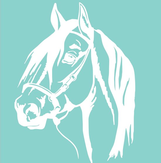 Foto: Sticker paarden auto trailer paardenliefde aanhanger boerderij deursticker raamsticker paardenhoofd