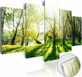 Afbeelding op acrylglas - Het bos, Groen,   5luik
