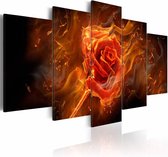 Schilderij - Vlammende roos, 5 luik, Zwart/Rood/Oranje, 2 maten, Premium print
