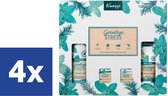 Bol.com Kneipp Giftset Goodbye Stress - 4 Setjes aanbieding