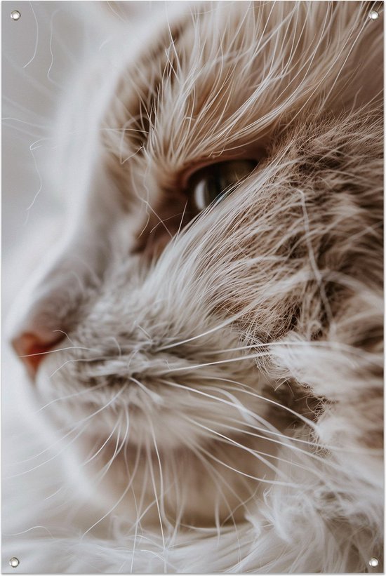 Ambachtelijke Snorharen Materialen Voor Naaldvilten Realistische Dierlijke Snorharen Voor Opgezette Dieren Gesimuleerde Kattensnorharen Voor Creatieve Projecten Ambachtelijke Snorharen Materialen Voor Naaldvilten Realistische Dierlijke Snorharen Voor Opgezette Dieren Gesimuleerde Kattensnorharen Voor Creatieve Projecten