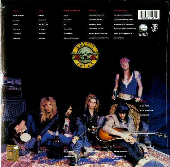 Appetite for Destruction (LP)