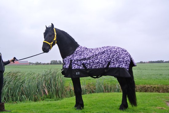Regendeken de luxe 0 gram met fleecevoering Zwart/paars