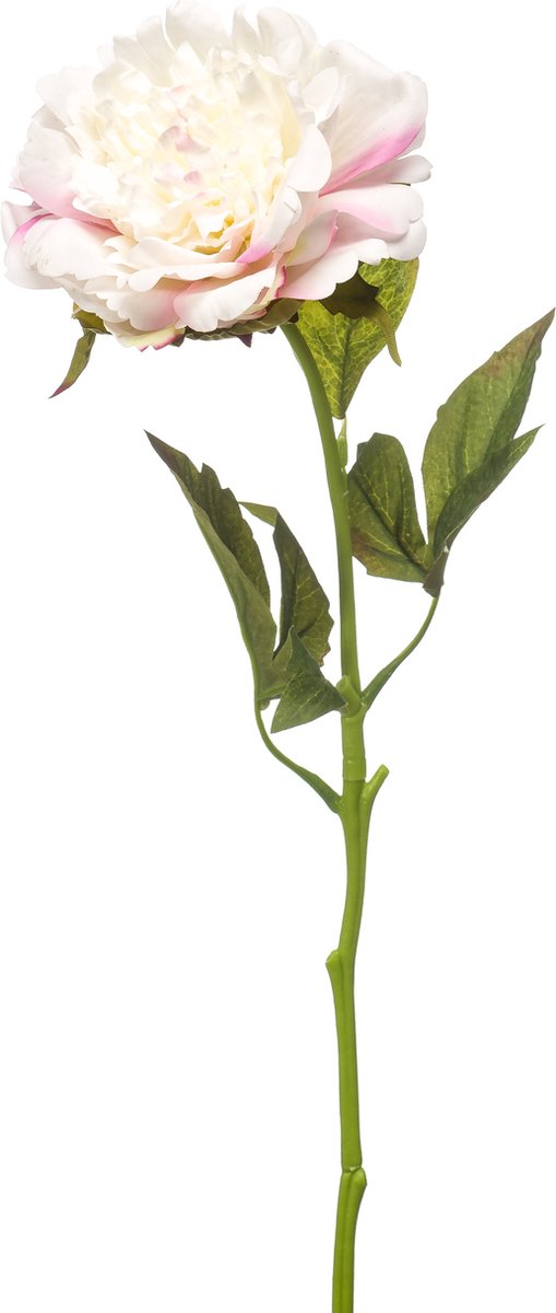 Emerald Kunstbloem Pioenroos RT 56cm wit/roze - Kunstplant voor binnen