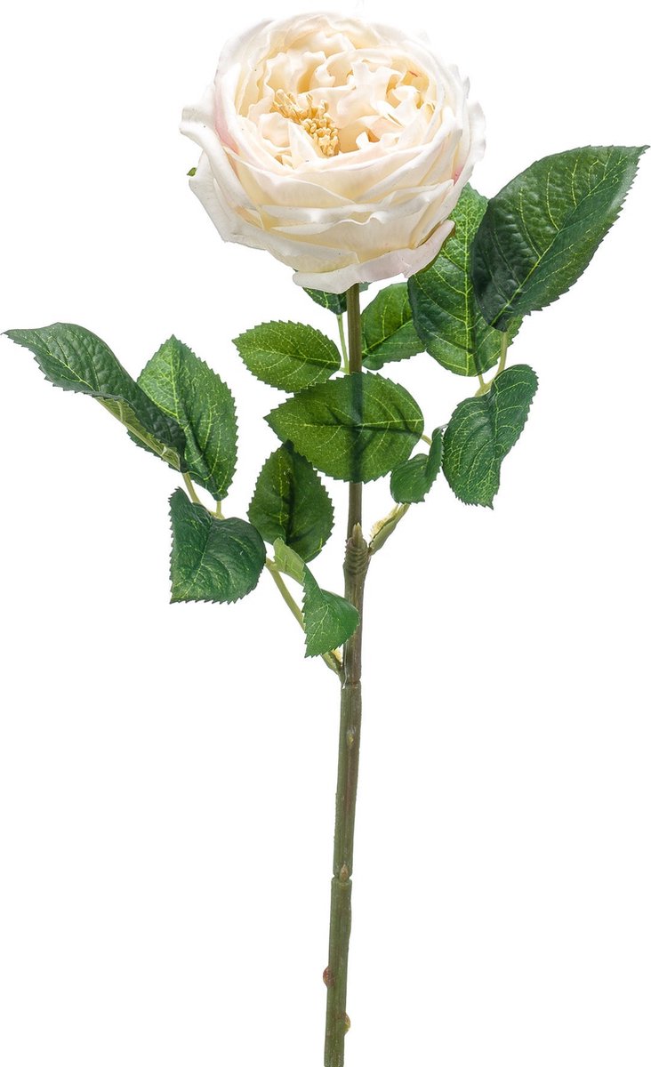 Emerald - Kunstbloem Roos Jenny RT 60cm crème - Kunstplant voor binnen