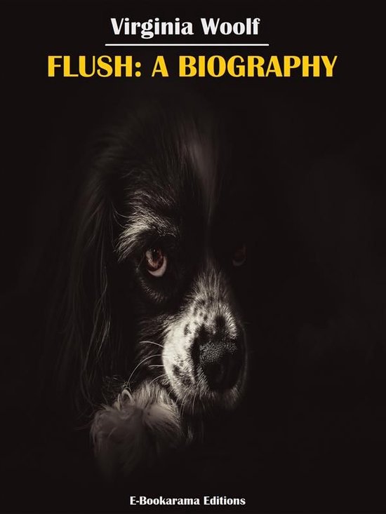 Flush: A Biography - cover