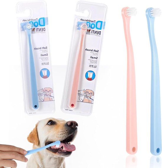 Webinar: alles wat je moet weten over tandverzorging bij je hond