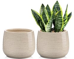 12CM Keramische Plantenpotten Set van 2 - Indoor Keramische Planter met Drainage Gaten - Decoratieve Bloempotten voor Succulente Cactus - Tuinpot voor Kamerplanten