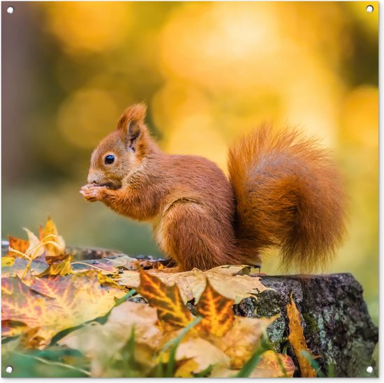 Golden Hour Herfstlandschap Poster | Poster Store NL