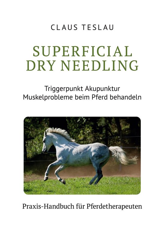 Superficial Dry Needling - cover