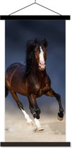 Porte-affiche avec affiche - Affiche scolaire - Paarden - Animaux - Sable - 40x80 cm - Lattes noires
