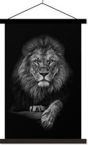 Porte-affiche avec affiche - Affiche scolaire - Lion - Animaux - Zwart - Wit - 40x60 cm - Lattes noires