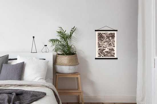 Porte-affiche avec affiche - Affiche scolaire - Reptiles - Animaux - Zwart - Wit - 40x53 cm - Lattes noires