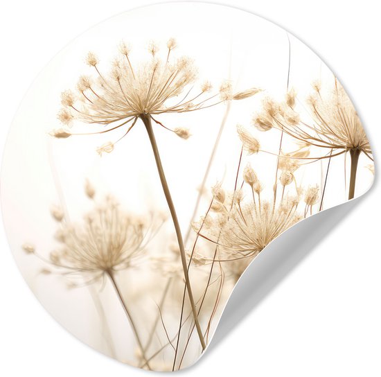 WallCircle® - Behangcirkel 30x30 cm - Muurstickers Bloemen - Wit - Zonlicht - Muurcirkel woonkamer - Wandcirkel slaapkamer - Kamer decoratie zelfklevend - Muurdecoratie accessoires