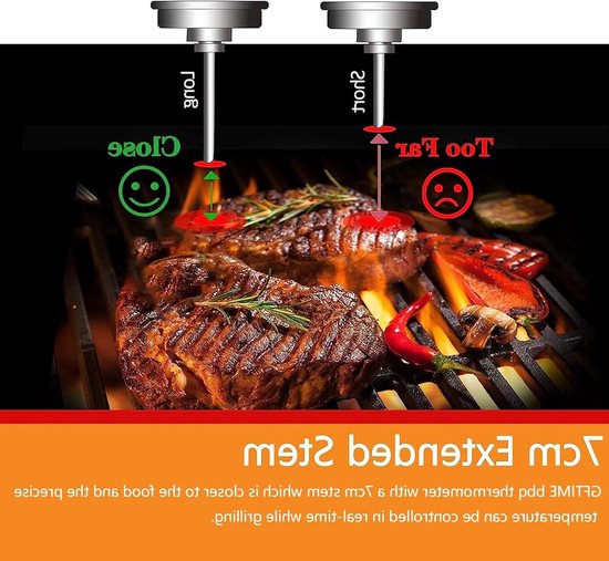 REDPOINT PIROMETRO/thermometer 0-600° stainless steel for pizza ovens