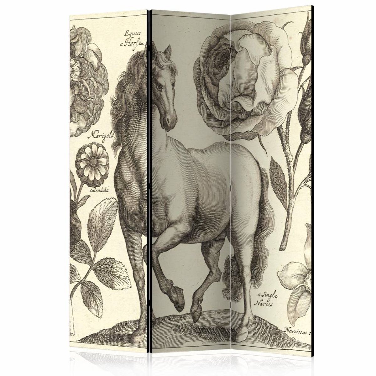 Vouwscherm - Paard 135x172cm , gemonteerd geleverd (kamerscherm), dubbelzijdig geprint