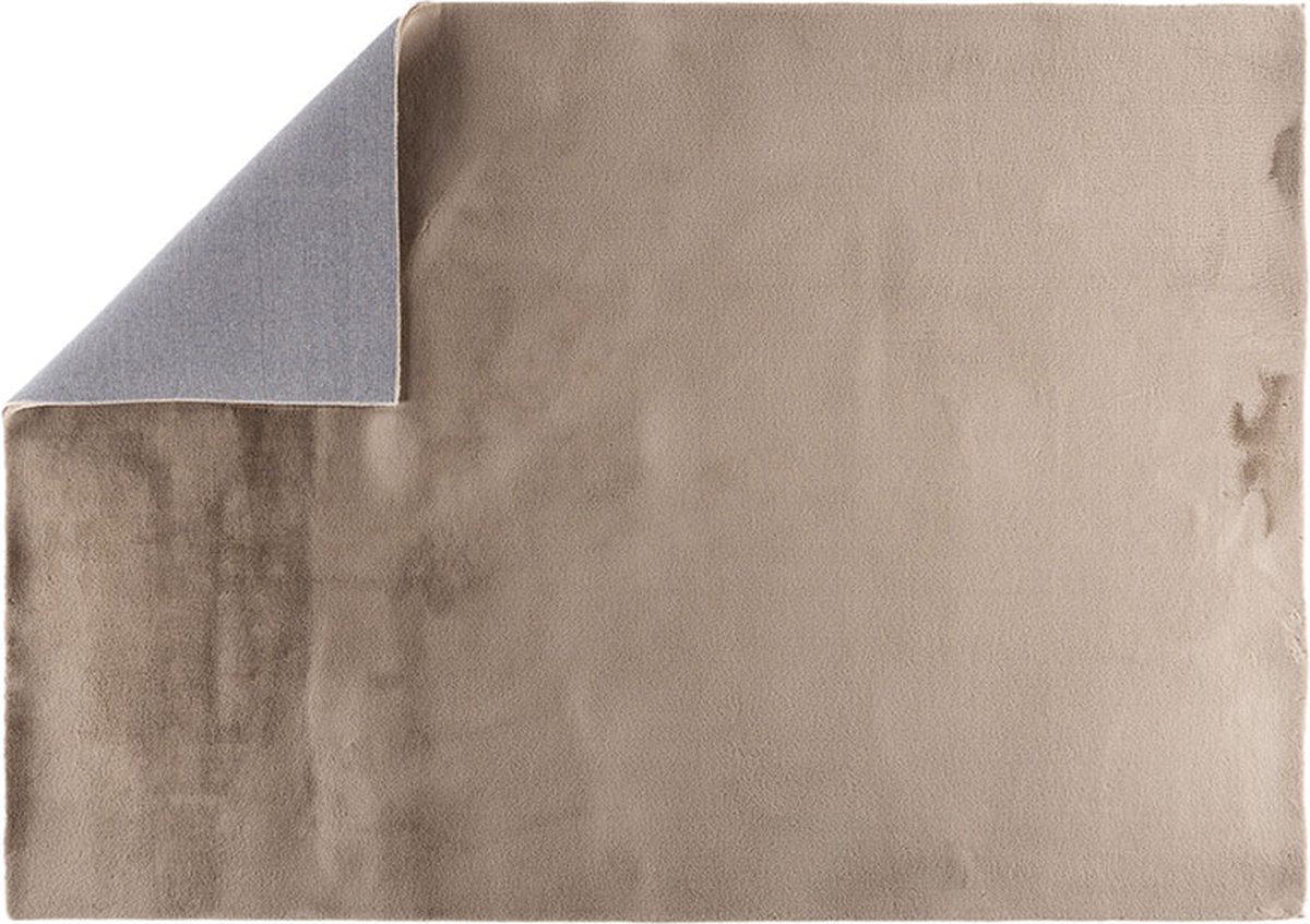 Leni vloerkleed 170x240 cm beige.