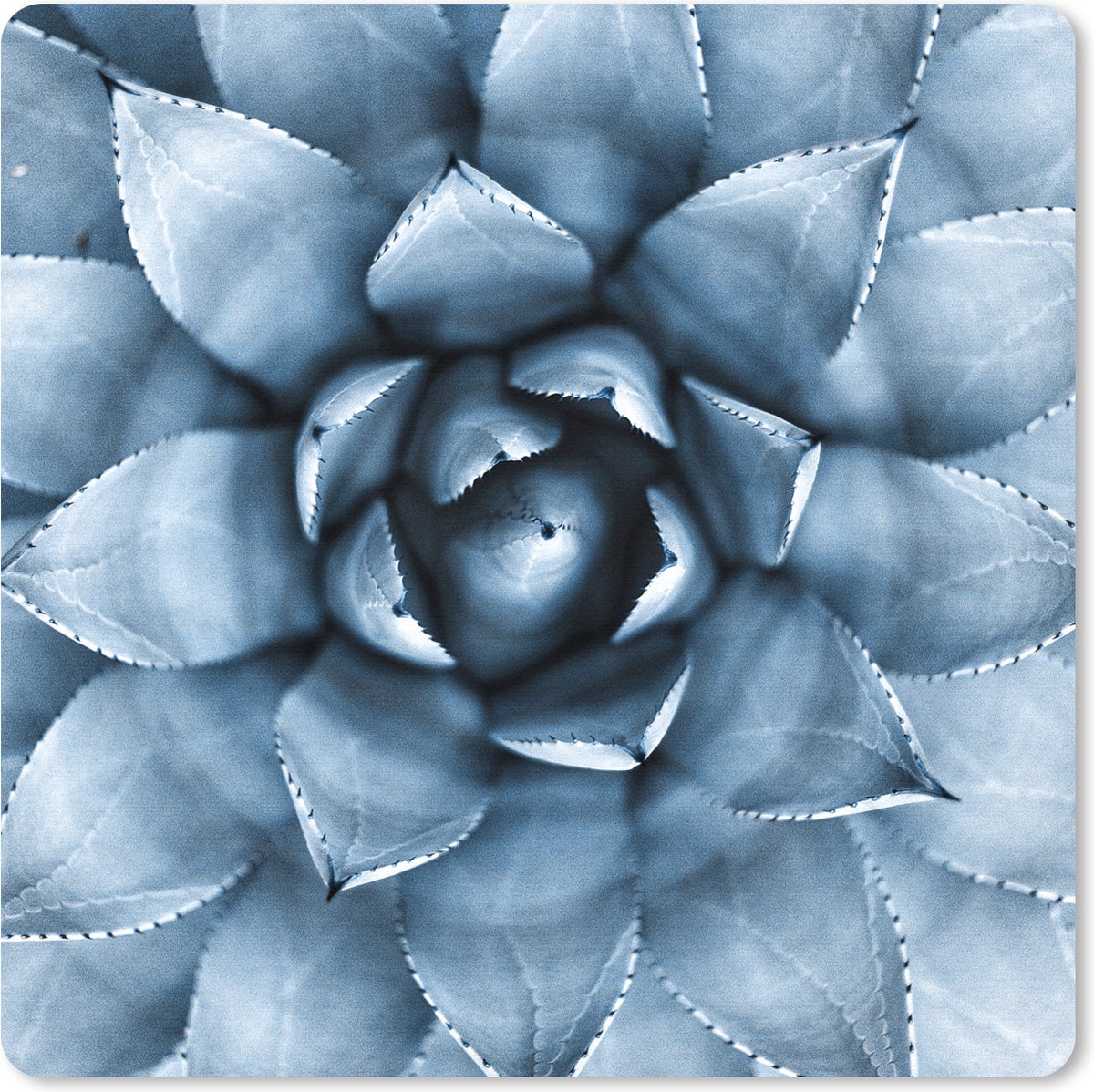 Muismat XXL 80x80 cm - Bureau onderlegger - Bureau mat Planten - Blauw - Natuur - Bureaumat - Gaming mousepad xl - Bureaulegger groot - Computer deskmat