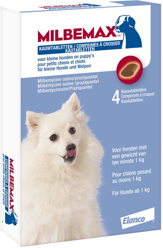 Milbemax kauwtabletten voor kleine honden. Een witte hond likt zijn bek af.