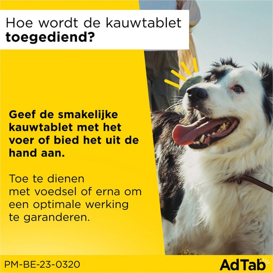 Een blije, kwijlende hond met de tekst 'Hoe wordt de kauwtablet toegediend?' en 'Geef de smakelijke kauwtablet met het voer of bied het uit de hand aan.'