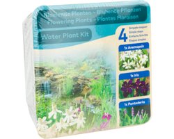 Moerings Droogverpakking Vijverplant Bloeiend