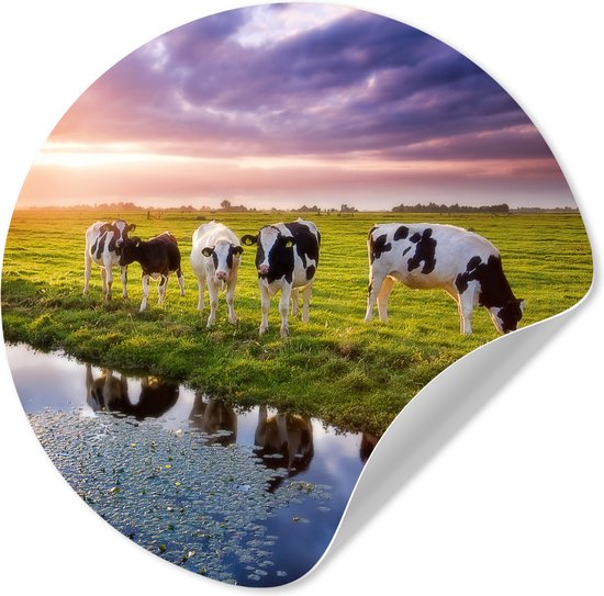 WallCircle® - Behangcirkel 100x100 cm - Muurstickers Koeien tijdens een zonsondergang - Muurcirkel woonkamer - Wandcirkel slaapkamer - Kamer decoratie zelfklevend - Muurdecoratie accessoires XXL