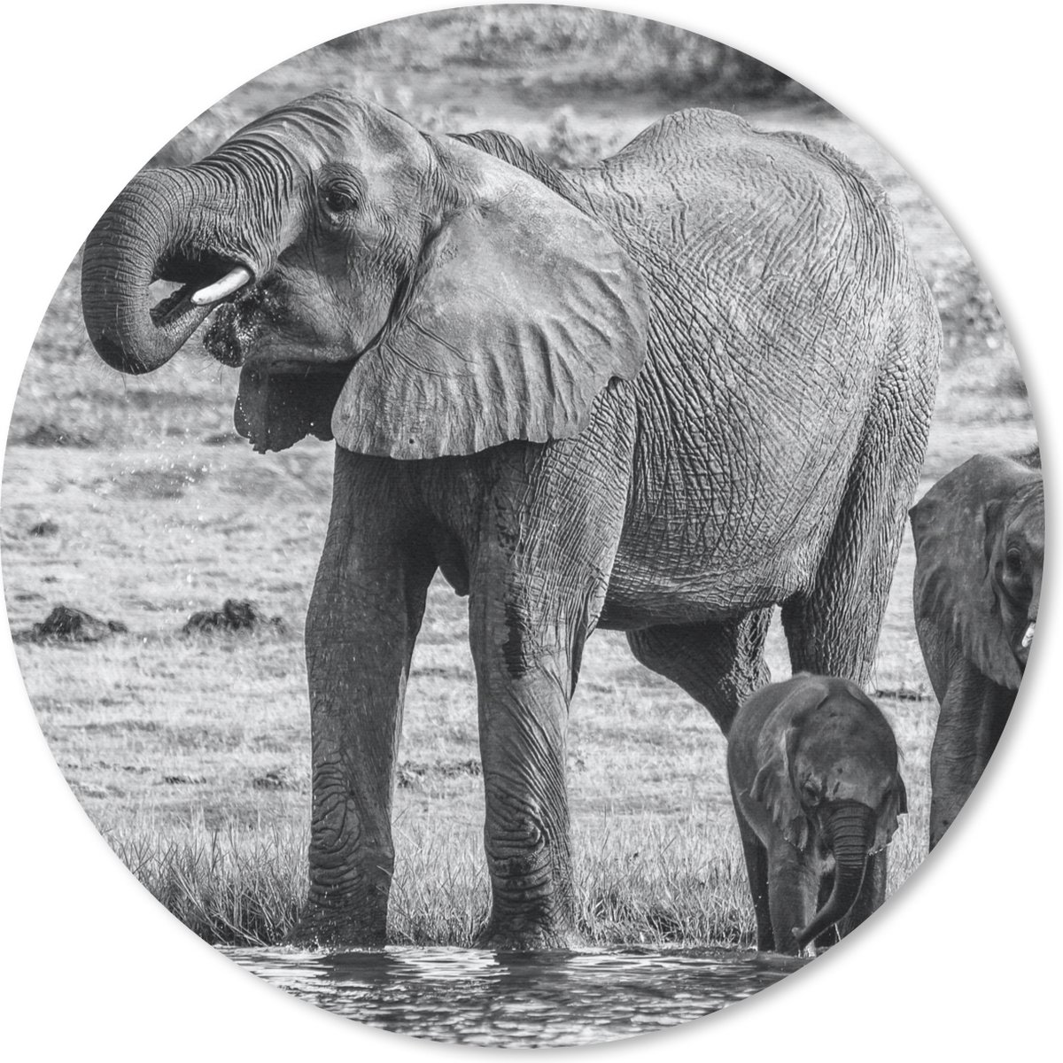 Muismat rond 20x20 cm - Mousepad Olifant - Water - Dieren - Zwart - Wit - Ronde muismatten