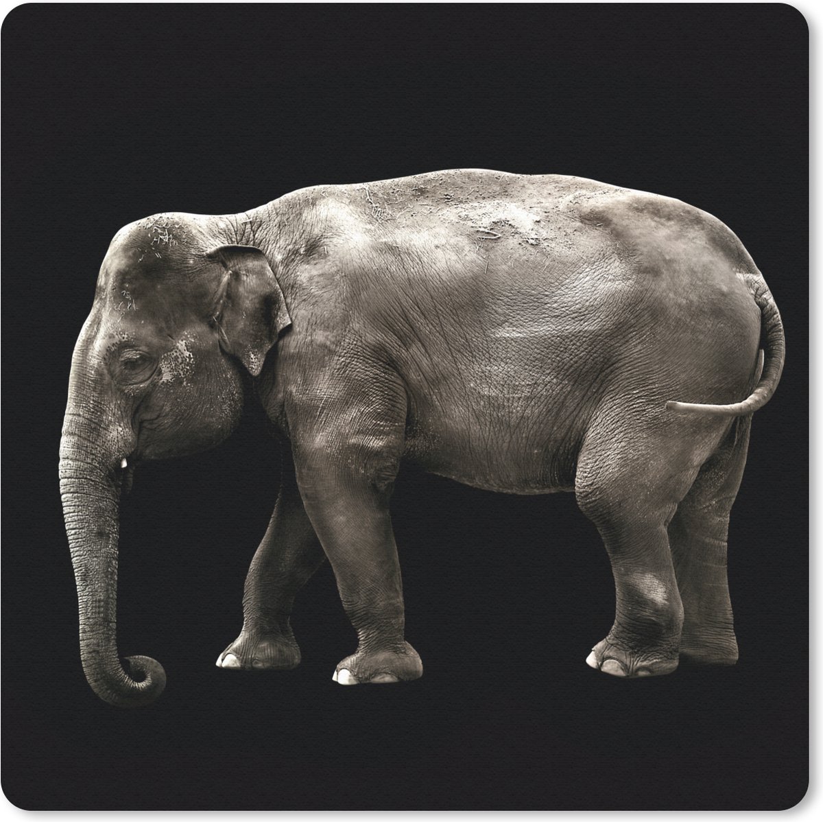 Muismat 20x20 cm - Mousepad Olifant - Wilde dieren - Zwart - Muismatten