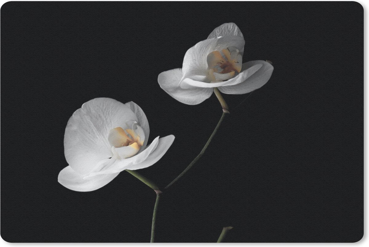 Muismat 27x18 cm - Mousepad Orchidee - Bloemen - Zwart - Wit - Stilleven - Muismatten