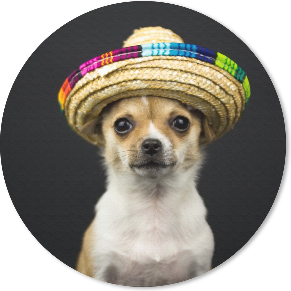 Muismat rond 40x40 cm - Mousepad Hond - Sombrero - Zwart - Ronde muismatten