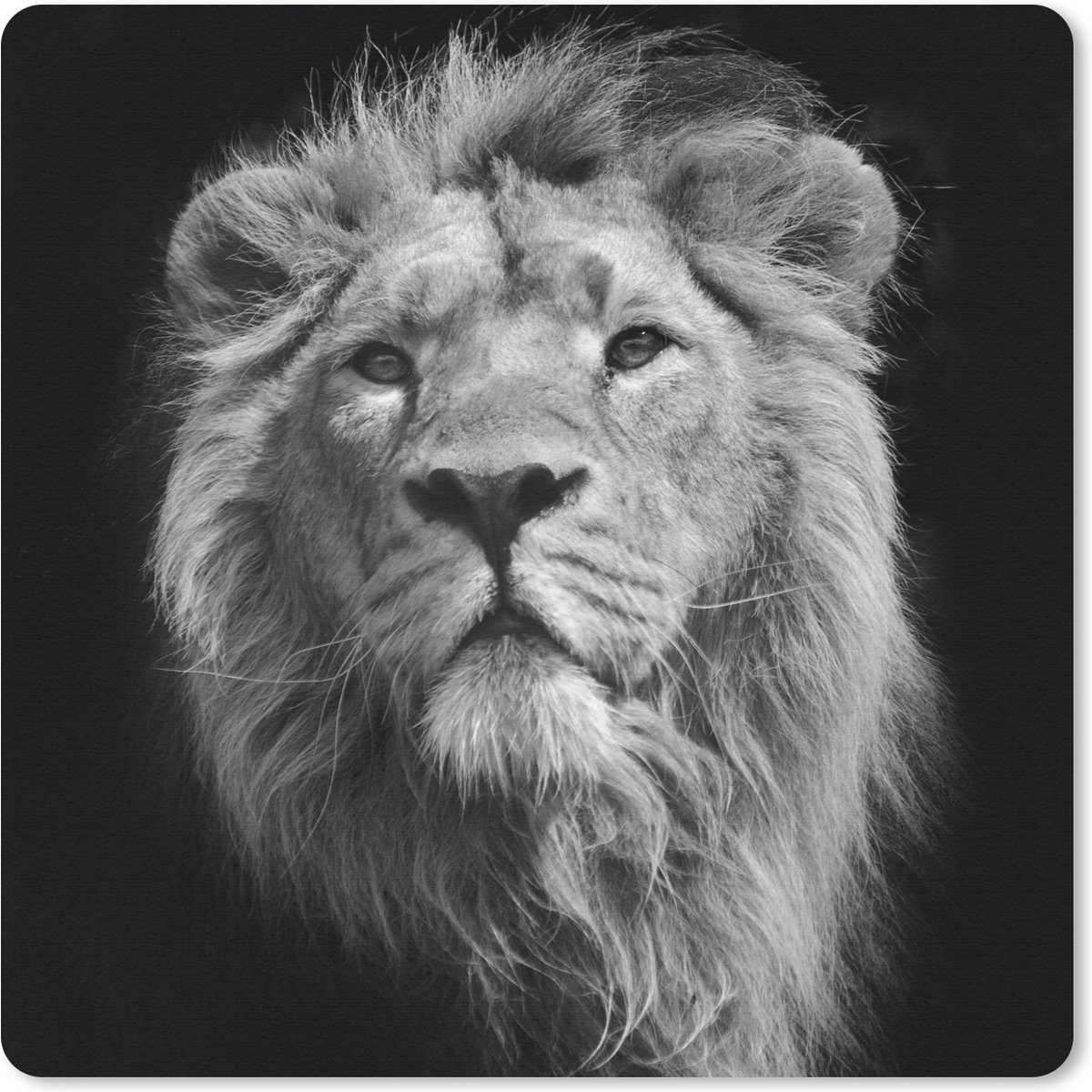 Muismat 30x30 cm - Mousepad Leeuw - Portret - Zwart - Wit - Muismatten