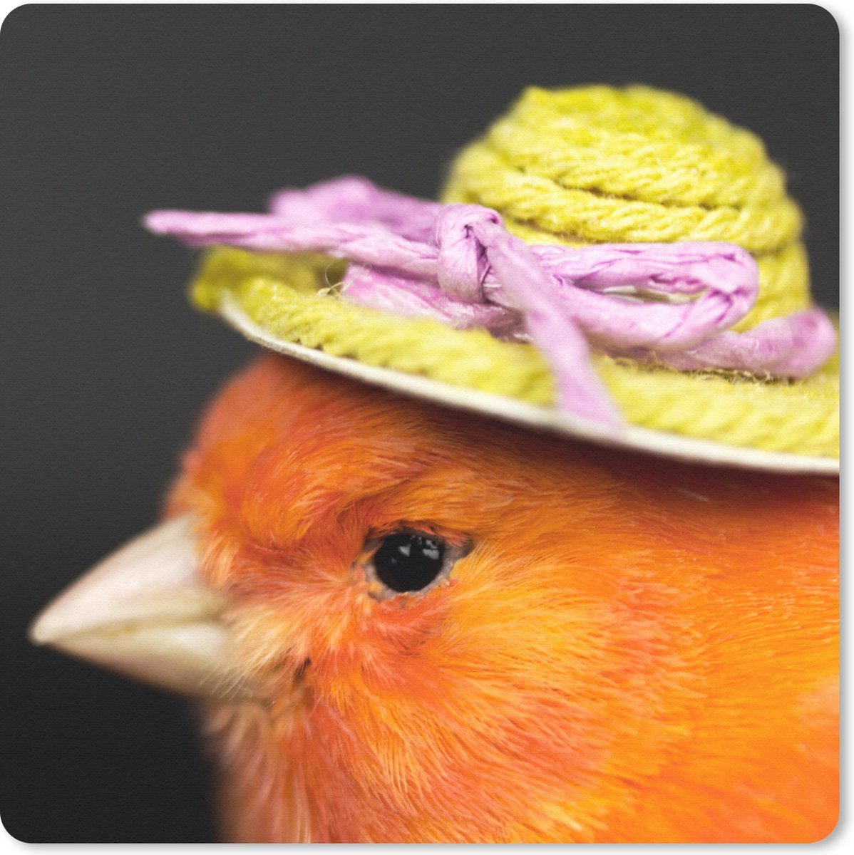 Muismat 20x20 cm - Mousepad Vogel - Hoed - Oranje - Muismatten