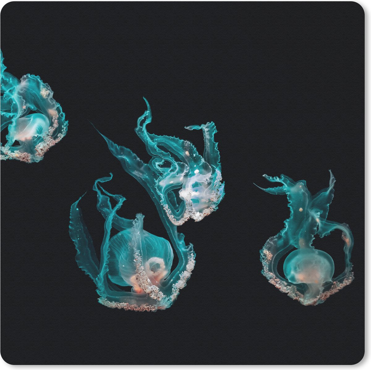Muismat 20x20 cm - Mousepad Kwal - Zeedieren - Zwart - Muismatten