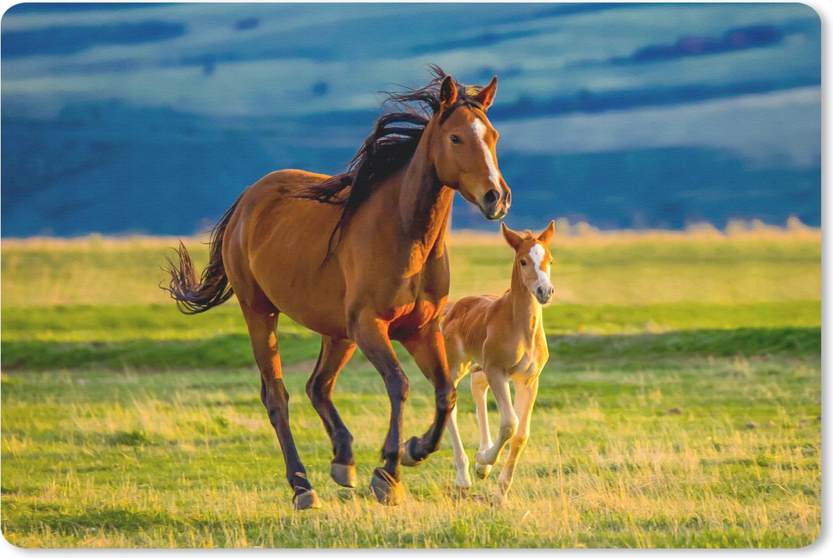 Muismat 27x18 cm - Mousepad Paarden - Gras - Dieren - Landschap - Natuur - Muismatten