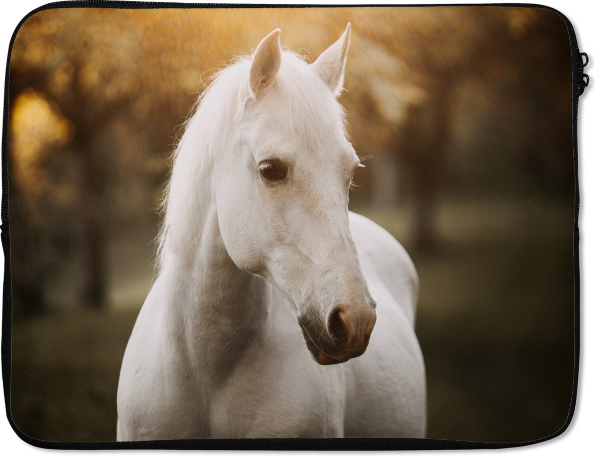 Laptophoes 15.6 inch - Paard - Zon - Herfst - Dieren - Natuur - Laptop sleeve - Binnenmaat 37x26 cm - Zwarte achterkant