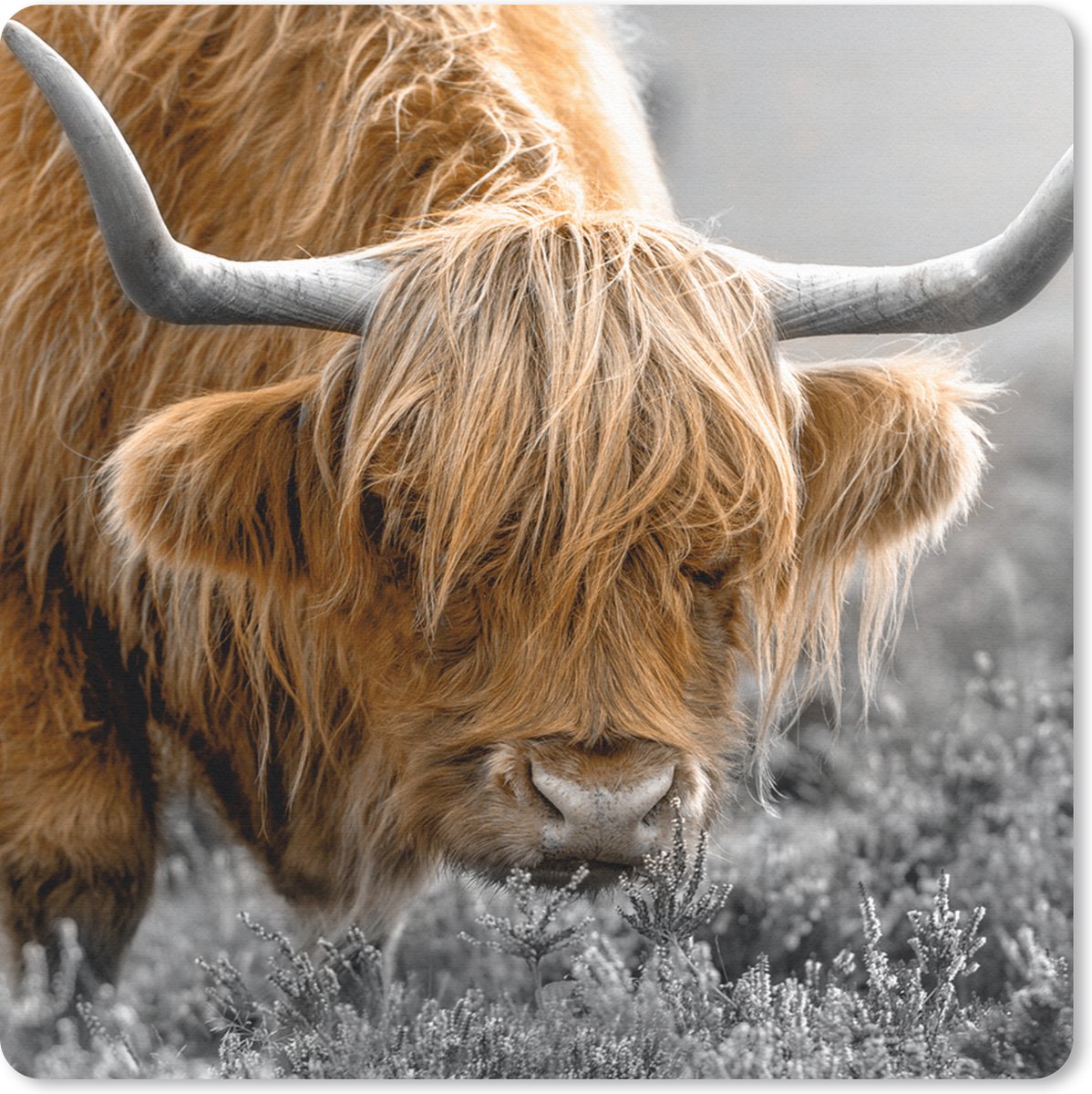 Muismat 30x30 cm - Mousepad Kleur - Zwart - Wit - Schotse Hooglander - Muismatten