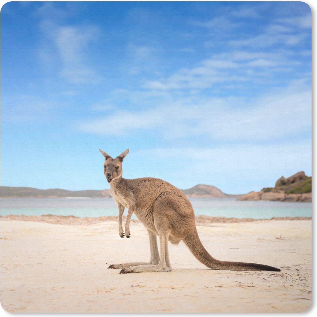 Muismat 20x20 cm - Mousepad Strand - Kangoeroe - Australië - Muismatten