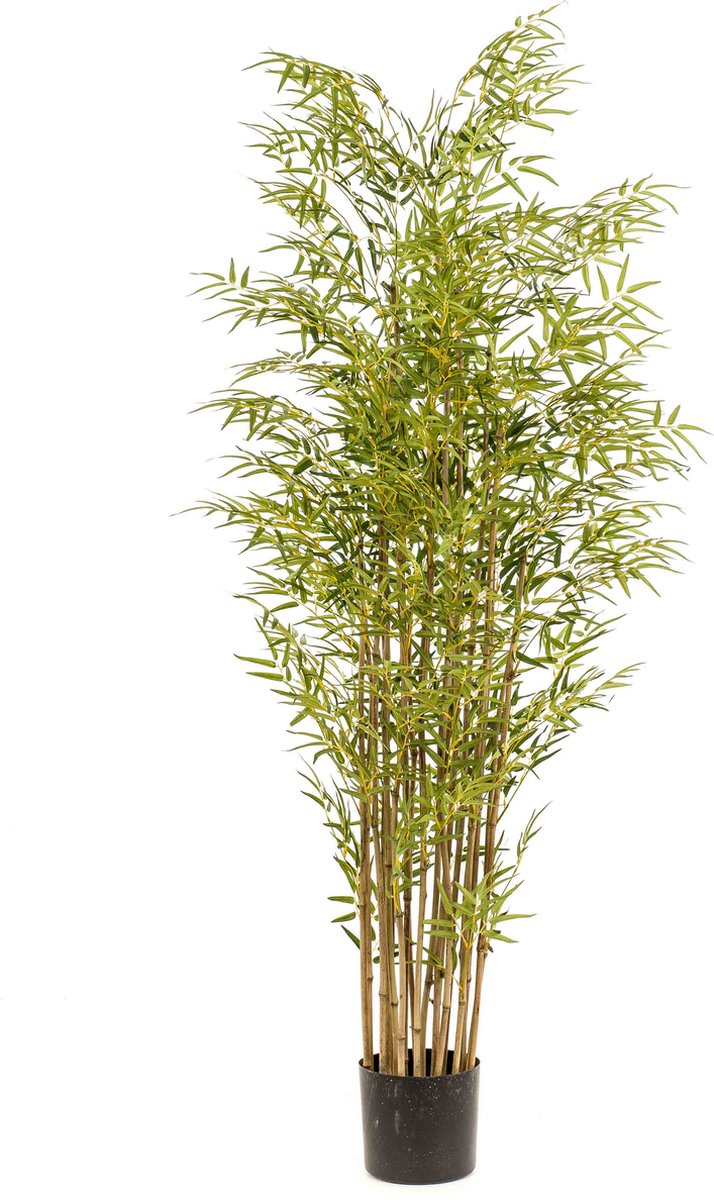 Emerald Kunstplant Bamboe Japanese Multi 180cm - Kunstplant voor binnen Groen