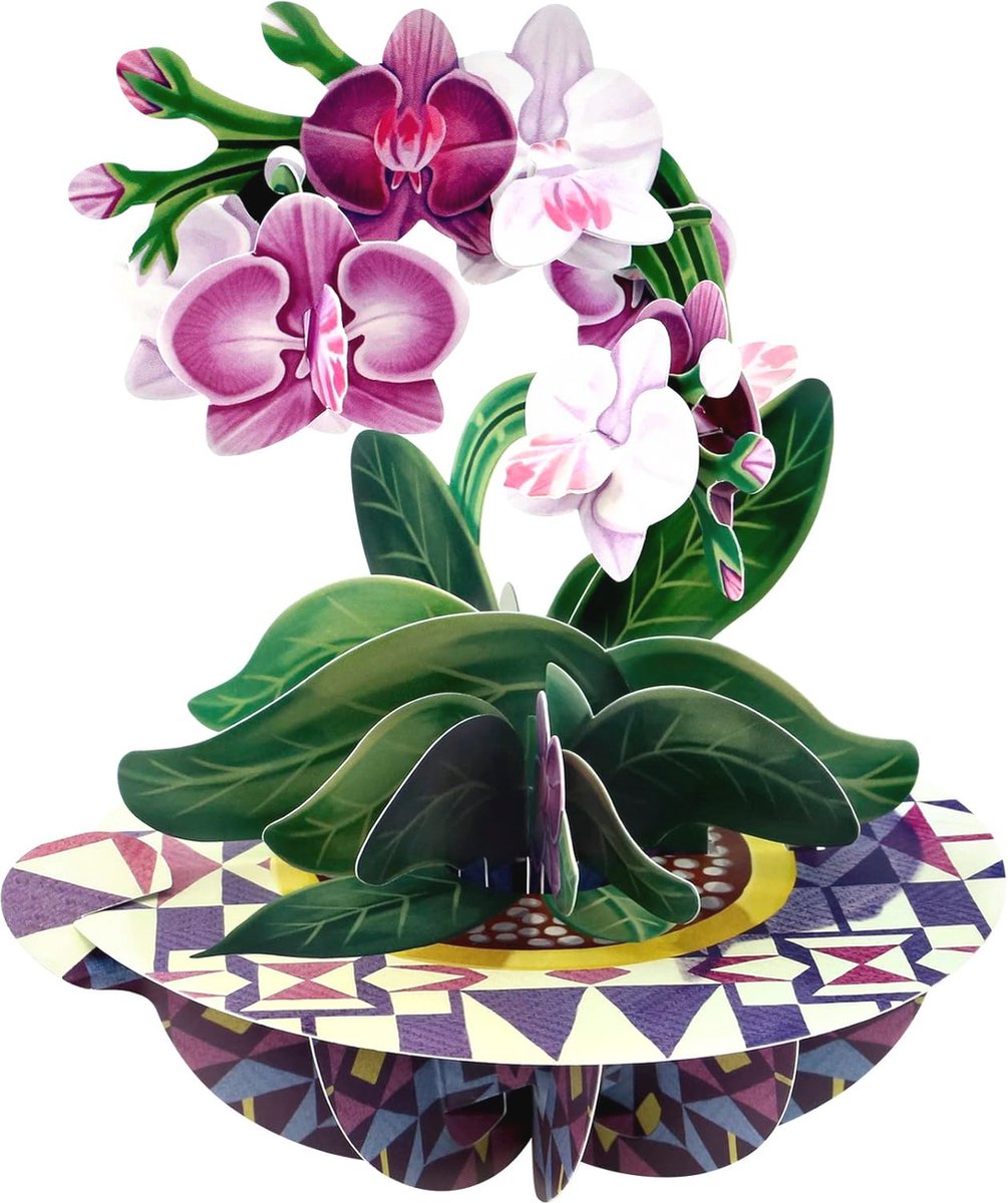 3D Pop-up Wenskaart Orchidee - Uniek Verjaardagscadeau voor Vrouwen, Moeder, Dochter en Vriendin