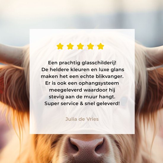 Close-up van een Schotse hooglander met een glazen schilderij met een beoordeling van 4 sterren en tekst: "Een prachtig glasschilderij! De heldere kleuren en luxe glans maken het een echte blikvanger."