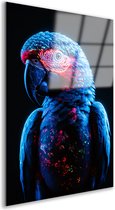 Papegaai glasschilderij - Dieren muurdecoratie - Schilderij Licht - Klassiek schilderijen - Schilderijen plexiglas - Kantoor accessoires acrylglas 40x60 cm