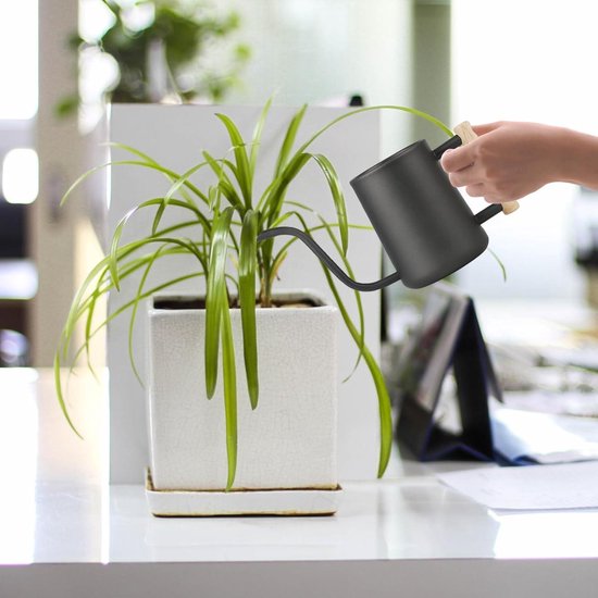 Gieter kamerplanten, klein, 1,7 l, bloemengieter, kunststof, lange uit