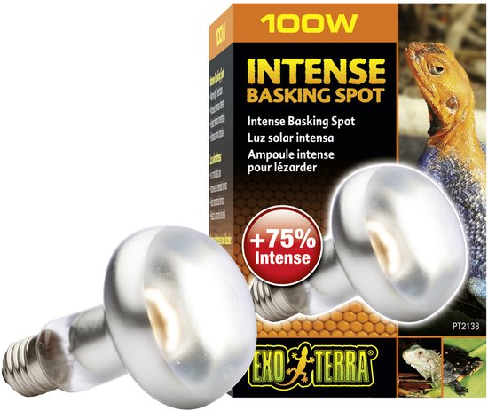 EX LAMPE INTENSE BASKING SPOT 100W - 8x8x12cm
