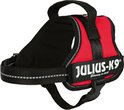 Rood Julius-K9® "Glowing in dark" hondentuig met zwarte gespen en reflecterende rand.